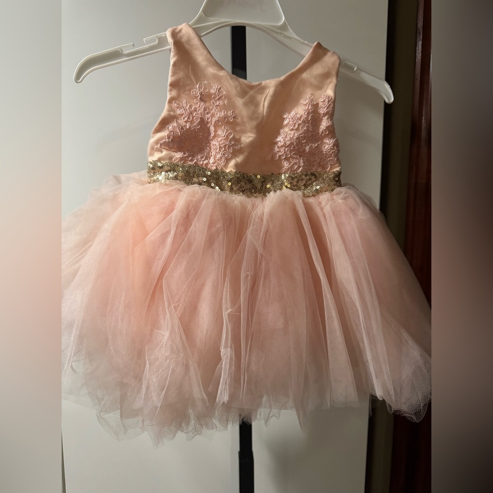 Pink Tulle Dress with Gold Sequin Waist